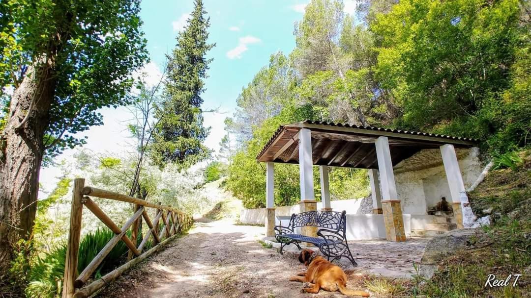 Alojamiento Rural El Penon De 오르노스 외부 사진